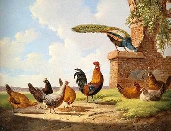 unknow artist Cocks 058 Spain oil painting art